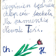 toska-24