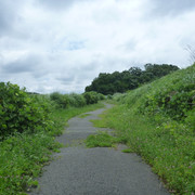 P1320404