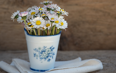Florist-Charlottesville-Va