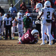 IMG-4993