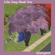 Lilac-Easy-Shade-Tree