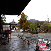 IMG-2755