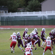 IMG-2991