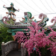 DSC05526