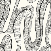 pp (43)