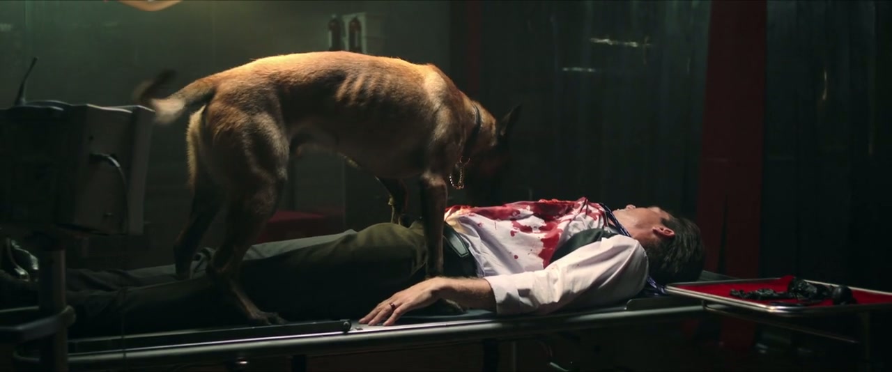 Play Dead Screenshot