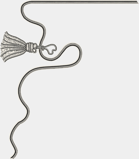 shutterstock 2136355401.jpg