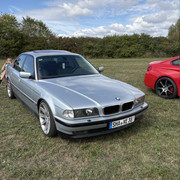 IMG 6267