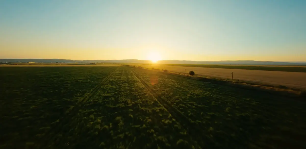 PepsiCo și Fertiberia: Un parteneriat pentru o agricultură mai verde