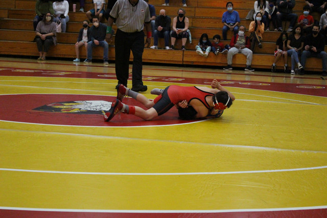 IMG-0068