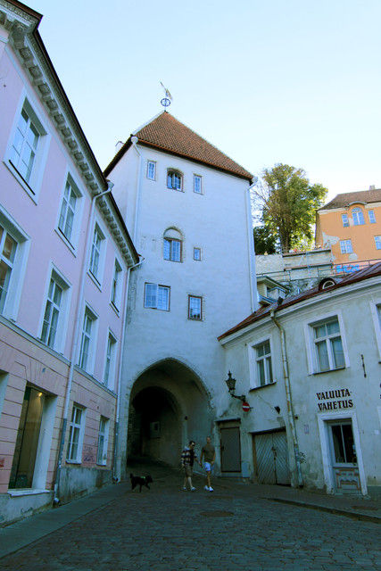 IMG-1287
