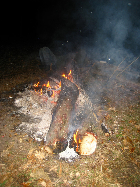 19992859.jpg