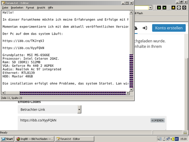grafikbug