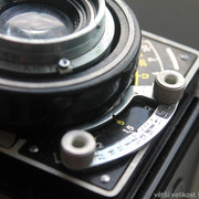 IMG-2571