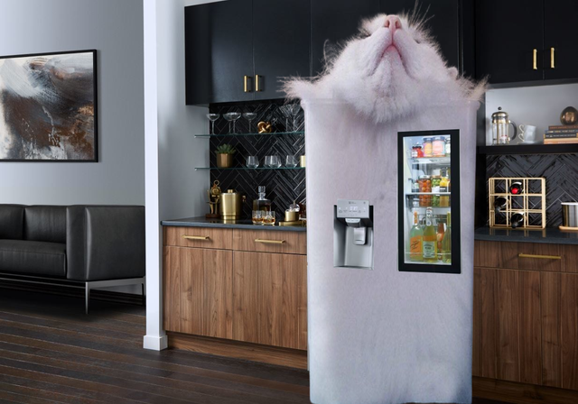 Cat-Fridge