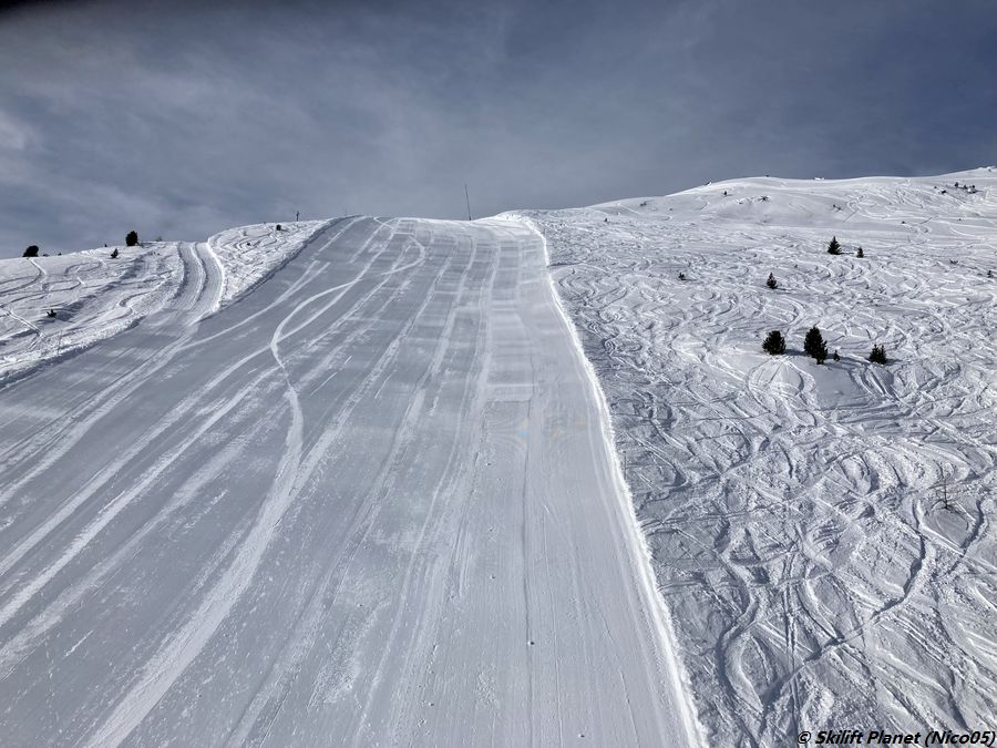 IMG-E3921.jpg