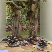 IMG-5188
