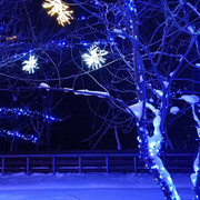 новогодняя ночь истра. зима в истре 2022. новогодняя ночь 2020 в парке победы. новогодний город. новогодние гуляния одинцово.