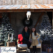 IMG-6488