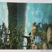 IMG-6347