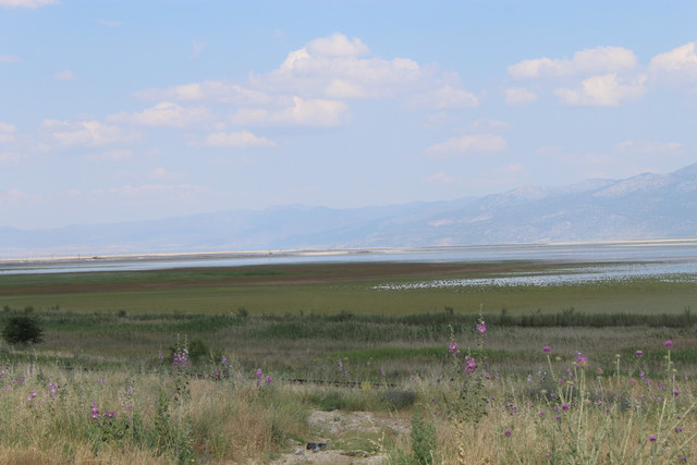 IMG-7723