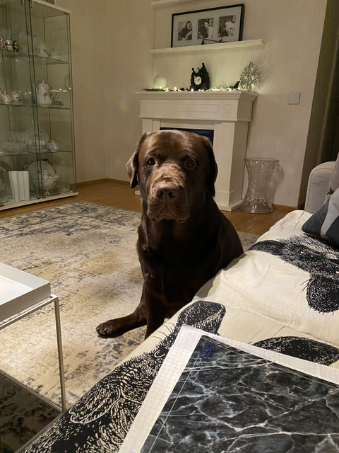 6514-FE22-CC13-4-B2-C-8-E79-B891-E375000