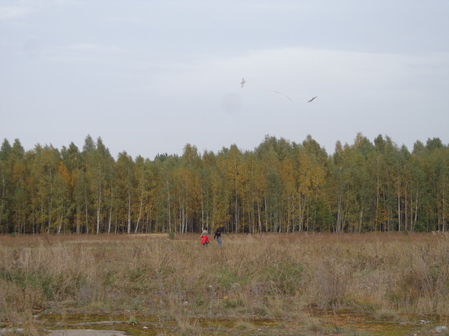 DSC03283.jpg