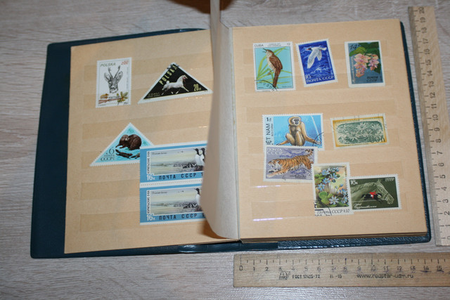 IMG-0642