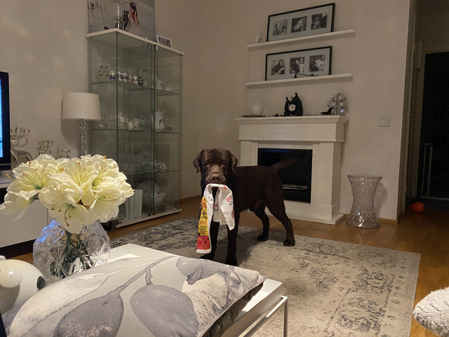 38-DE058-F-1743-4247-BB64-DAFD69-F00-A58