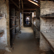 IMG-5884