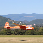 y-4343
