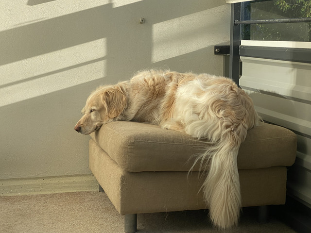 58-FEEB6-D-6300-4-ACF-92-DD-395-FF1-CAF3