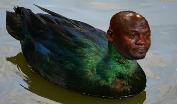 oregon15.jpg