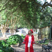IMG 7500