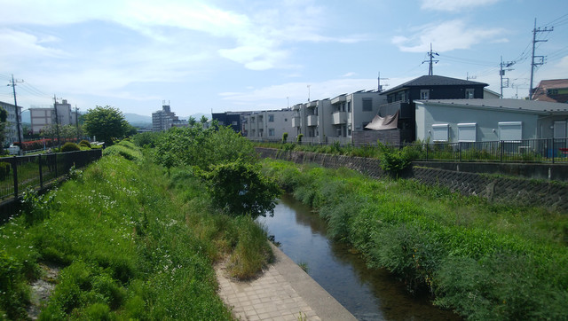 DSC-0024.jpg