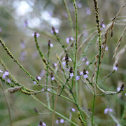 DSC7197