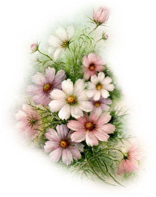 sonieames-flowers