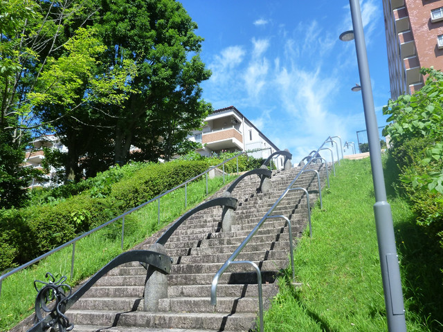 P1330786