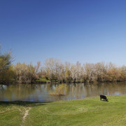 1c00244m