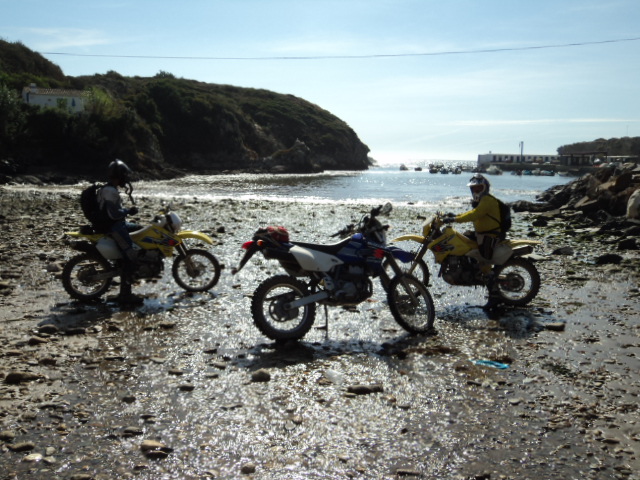DSC00286.jpg