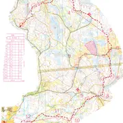 rganim1690382016