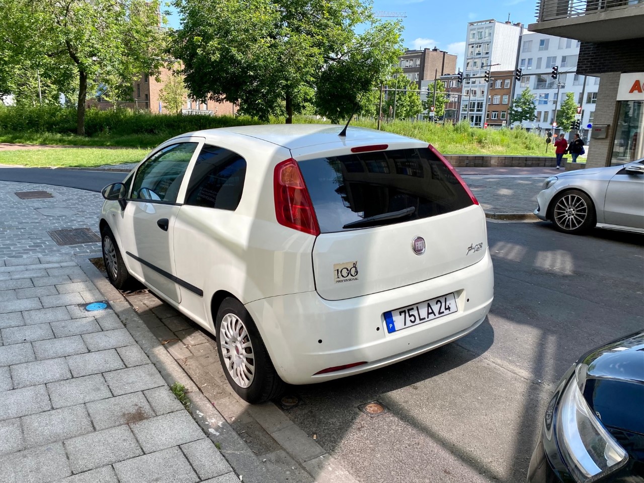 spot202264.jpg