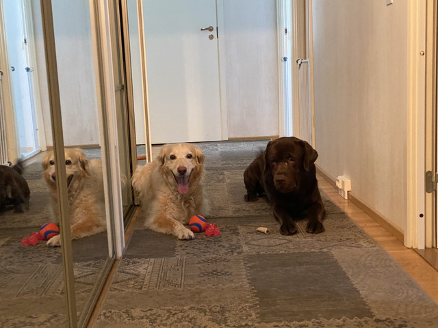 87-F60064-8-E37-4-A5-D-ADAD-2-AE9-A59637