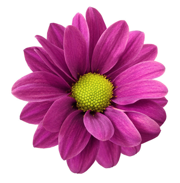 shutterstock-630717506
