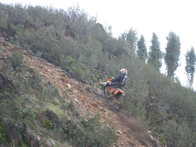 OLYMPUS-DIGITAL-CAMERA.jpg