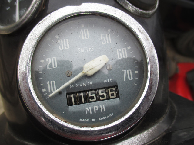 IMG-2113.jpg