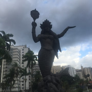 IMG-3493