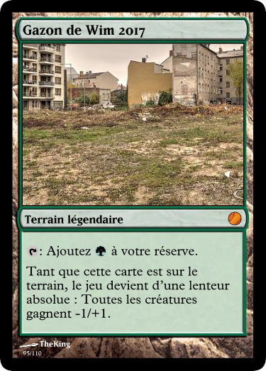 Gazon de Wim 2017.png