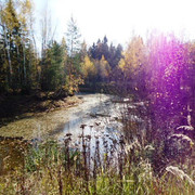 DSC00246