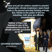 cop27georgemonbiot